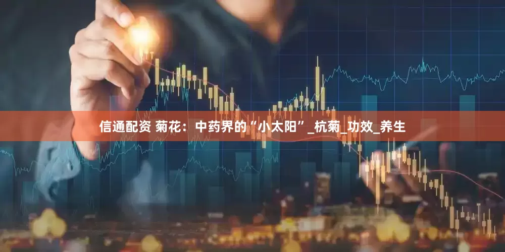 信通配资 菊花：中药界的“小太阳”_杭菊_功效_养生