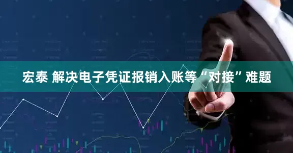 宏泰 解决电子凭证报销入账等“对接”难题