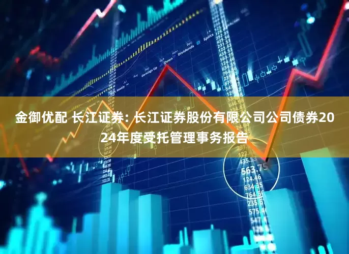 金御优配 长江证券: 长江证券股份有限公司公司债券2024年度受托管理事务报告
