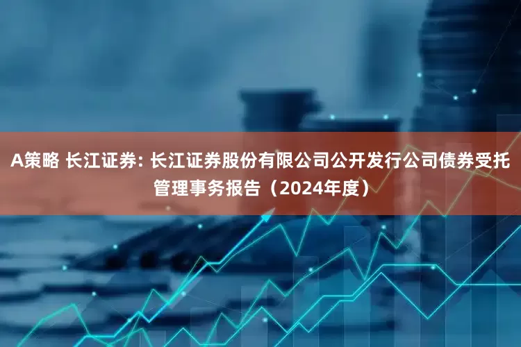 A策略 长江证券: 长江证券股份有限公司公开发行公司债券受托管理事务报告（2024年度）