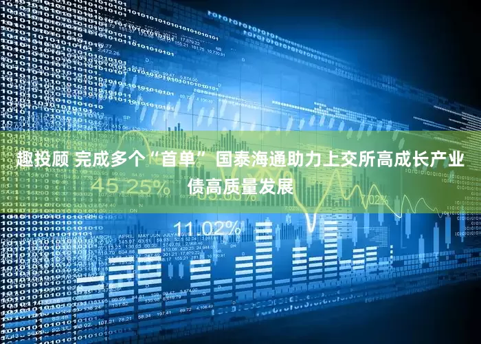 趣投顾 完成多个“首单” 国泰海通助力上交所高成长产业债高质量发展