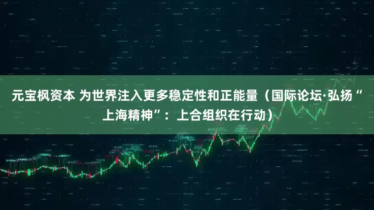 元宝枫资本 为世界注入更多稳定性和正能量（国际论坛·弘扬“上海精神”：上合组织在行动）