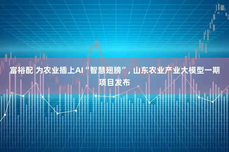 富裕配 为农业插上AI“智慧翅膀”, 山东农业产业大模型一期项目发布